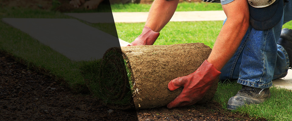 New York Landscapers